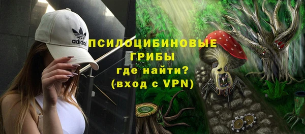 мет Арсеньев